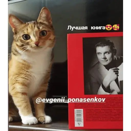 Стикер «Понасенков-7»