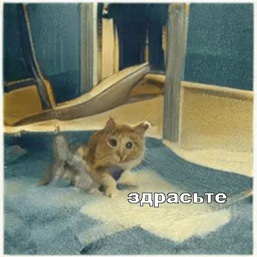 Стикер «Несуществующие коты-9»