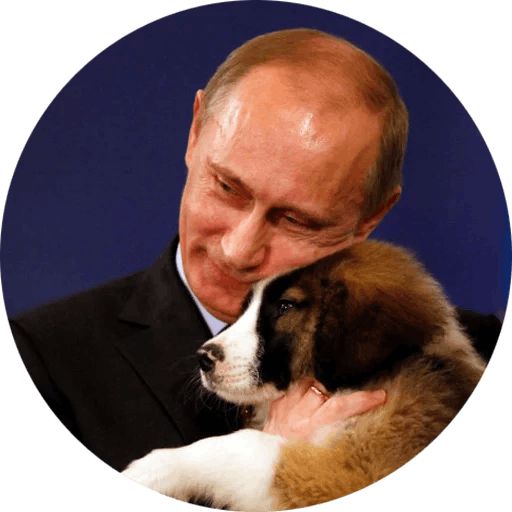Стикер «В.В.Путин-4»