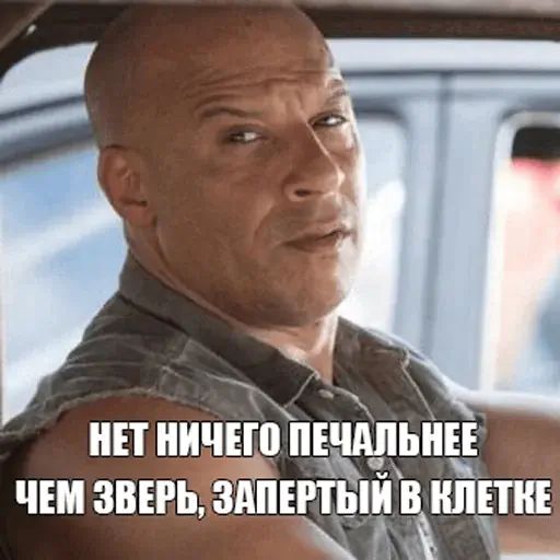 Стикер «Доминик Торетто-1»