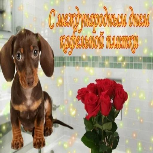 Стикер «Открытки из WhatsApp-1»