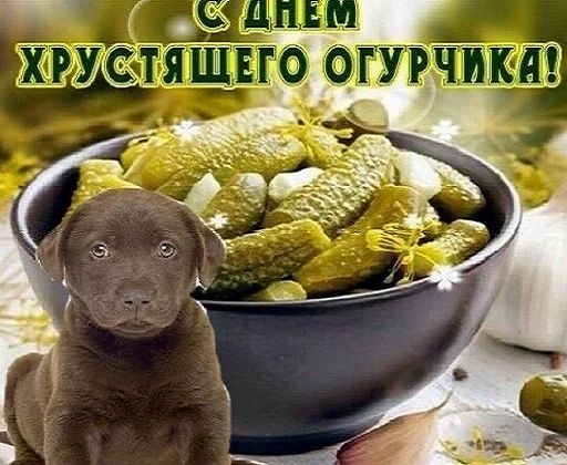 Стикер «Открытки из WhatsApp-7»