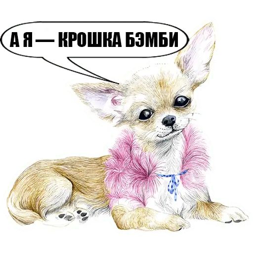 Стикер «Богемные пёсики-8»