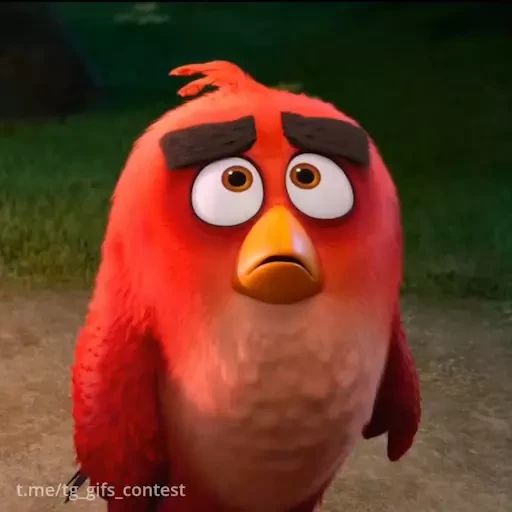 Стикер «Angry Birds-7»