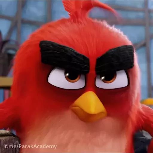 Стикер «Angry Birds-9»