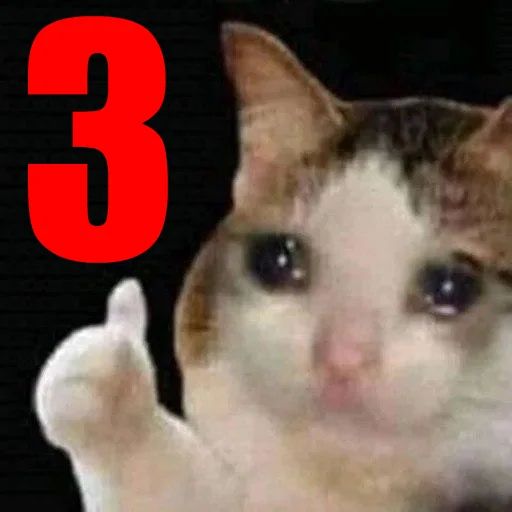 Стикер «Котики бизнес-1»