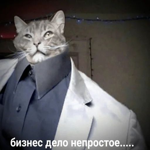 Стикер «Котики бизнес-10»