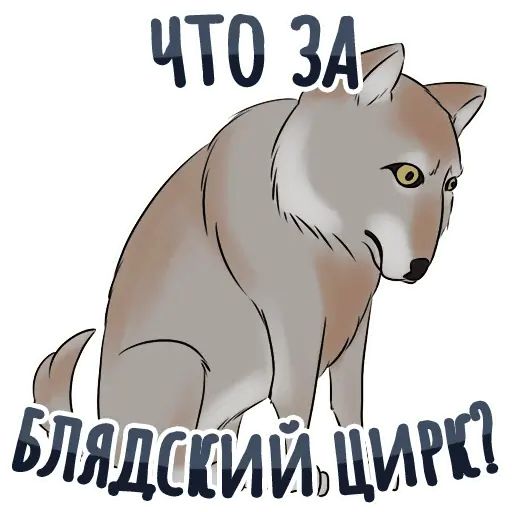 Стикер «Секспак-6»
