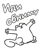 19.webp