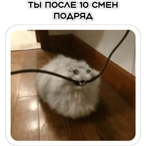 Стикер «Курьерская сила-10»