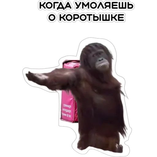Стикер «Курьерская сила-11»
