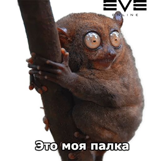 Стикер «Eve Online-11»