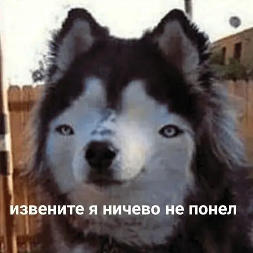 Стикер «Тупорылые мемы-10»