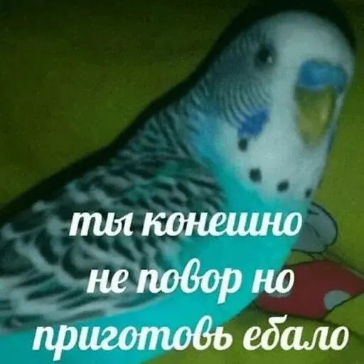 Стикер «Тупорылые мемы-12»