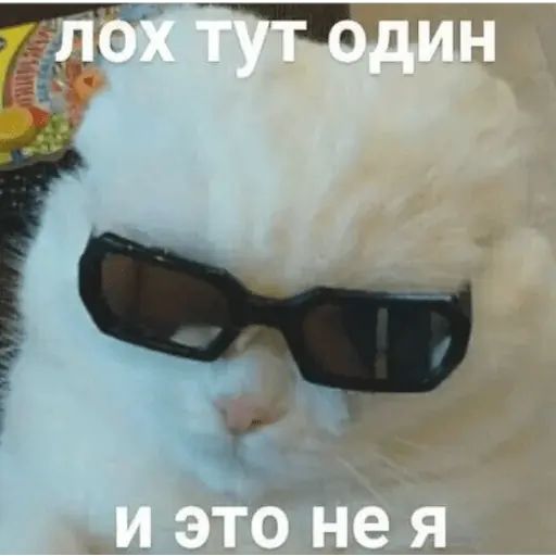 Стикер «Тупорылые мемы-5»