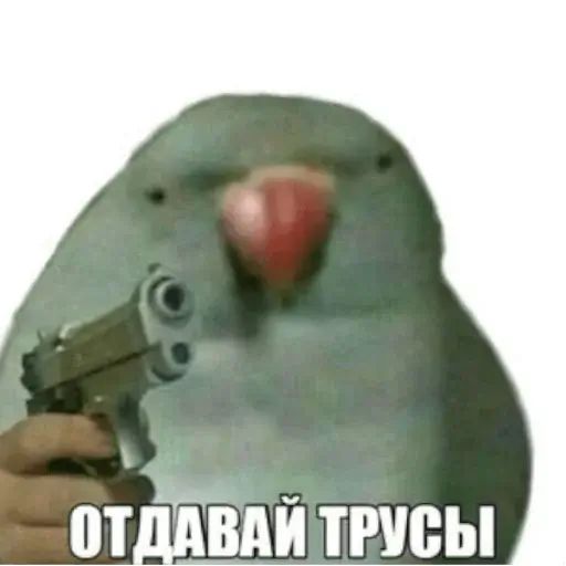 Стикер «Тупорылые мемы-6»