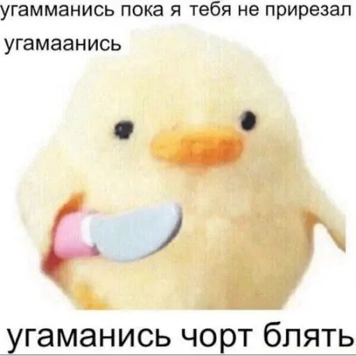 Стикер «Тупорылые мемы-7»