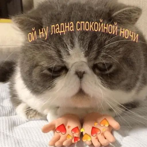 Стикер «Тупорылые мемы-9»