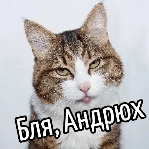 Стикер «Имена-1»