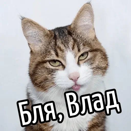 Стикер «Имена-10»