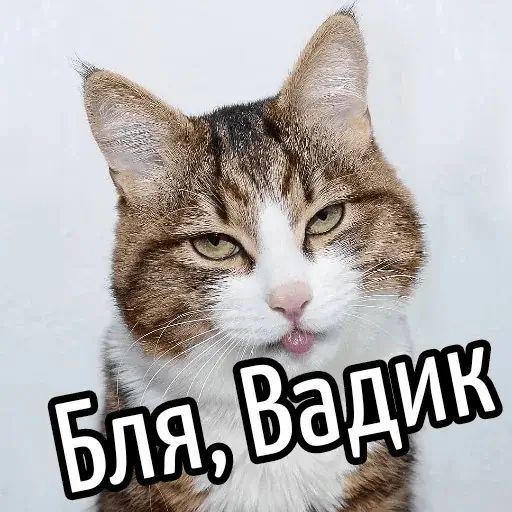 Стикер «Имена-11»