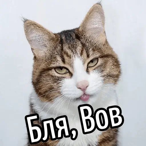 Стикер «Имена-12»