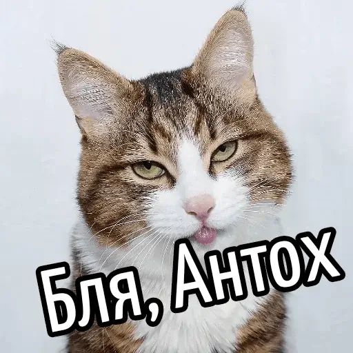 Стикер «Имена-2»