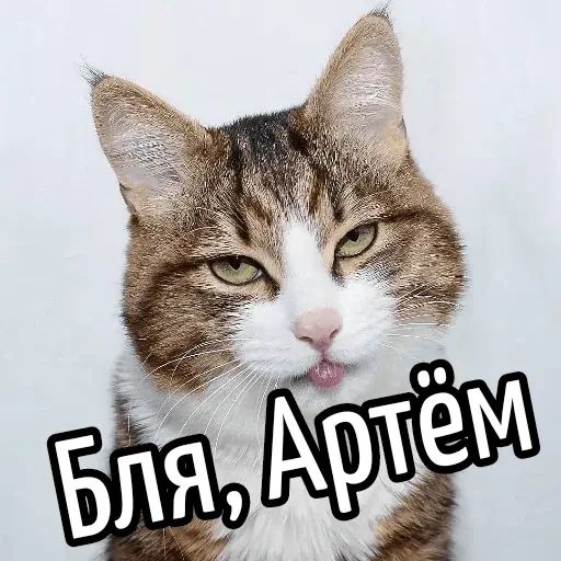 Стикер «Имена-3»