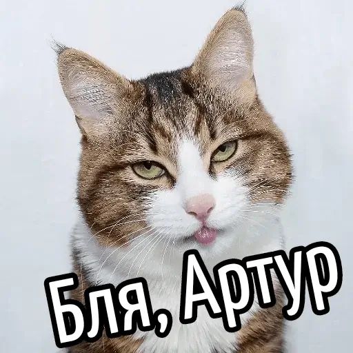 Стикер «Имена-4»