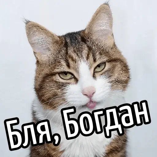 Стикер «Имена-5»