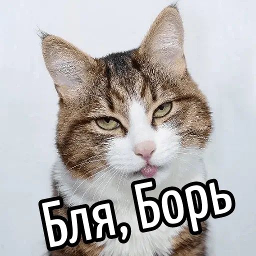 Стикер «Имена-6»