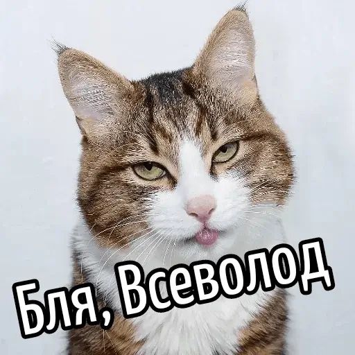 Стикер «Имена-7»