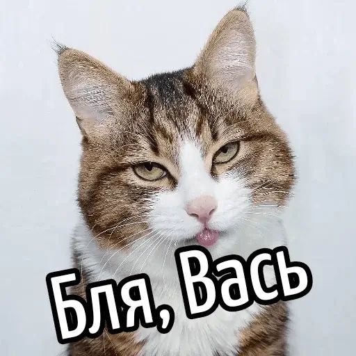 Стикер «Имена-8»