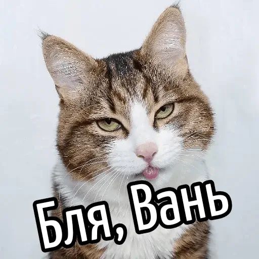 Стикер «Имена-9»