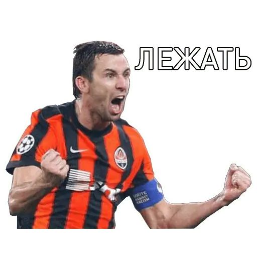 Стикер «Шахтер Донецк-4»
