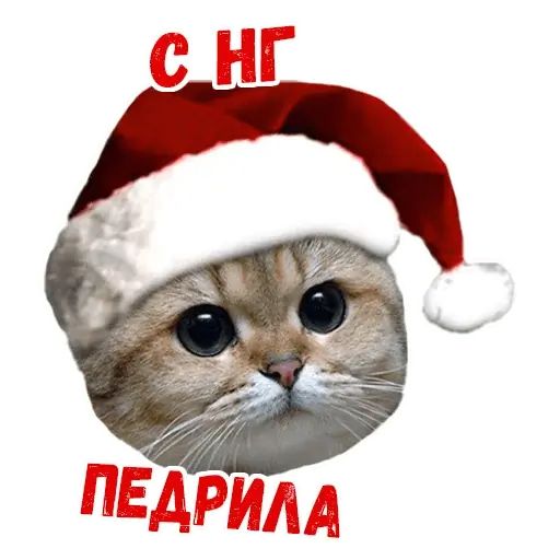 Стикер «Новый год-6»