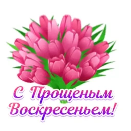 Стикер «Прощеное воскресенье-10»