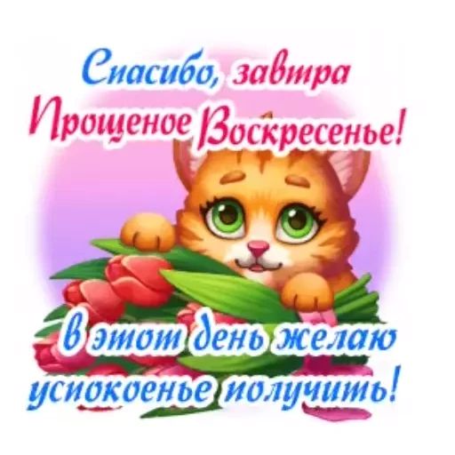 Стикер «Прощеное воскресенье-5»