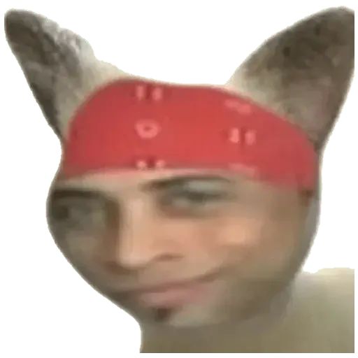 Стикер «Рикардо-4»