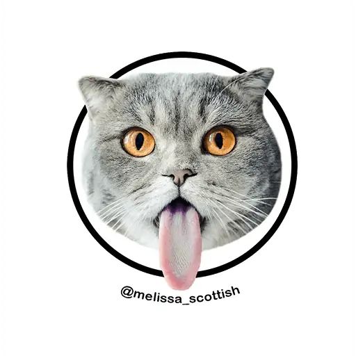 Стикер «Мелисса-1»