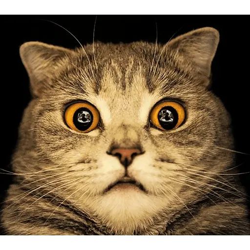 Стикер «Мелисса-11»