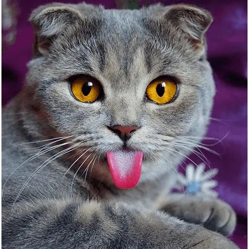 Стикер «Мелисса-2»