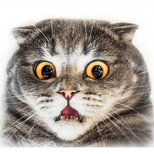 Стикер «Мелисса-3»