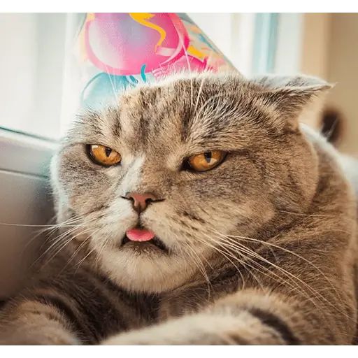 Стикер «Мелисса-5»