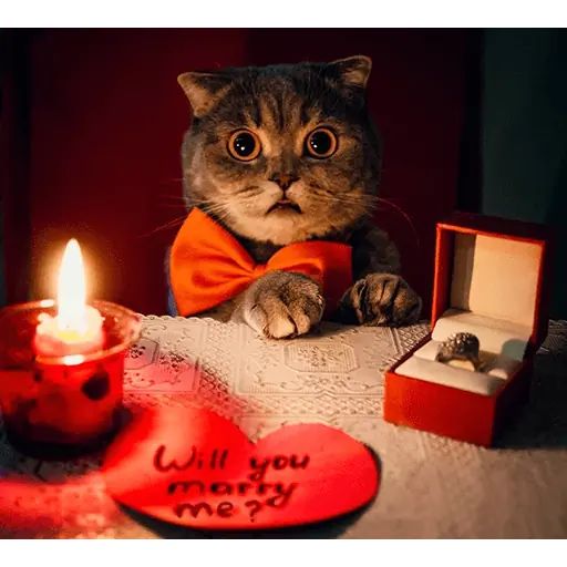 Стикер «Мелисса-7»