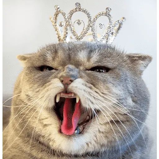 Стикер «Мелисса-8»