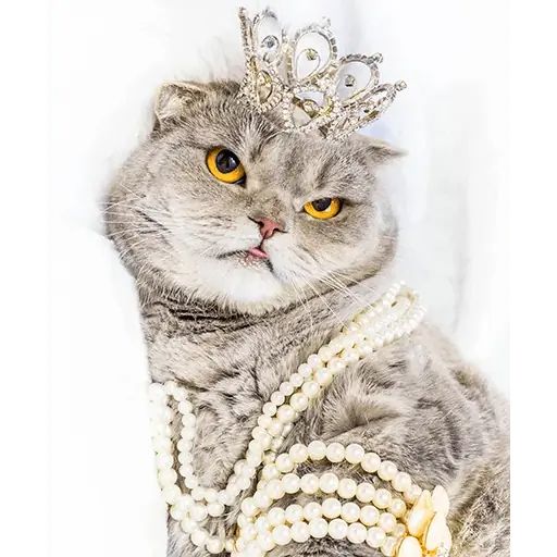 Стикер «Мелисса-9»