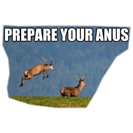 Стикер «Prepare your anus-3»