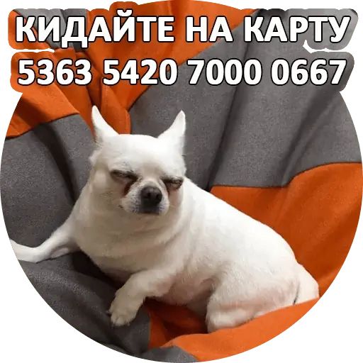 Стикер «Себек-1»