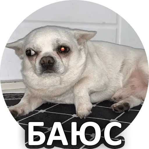 Стикер «Себек-10»